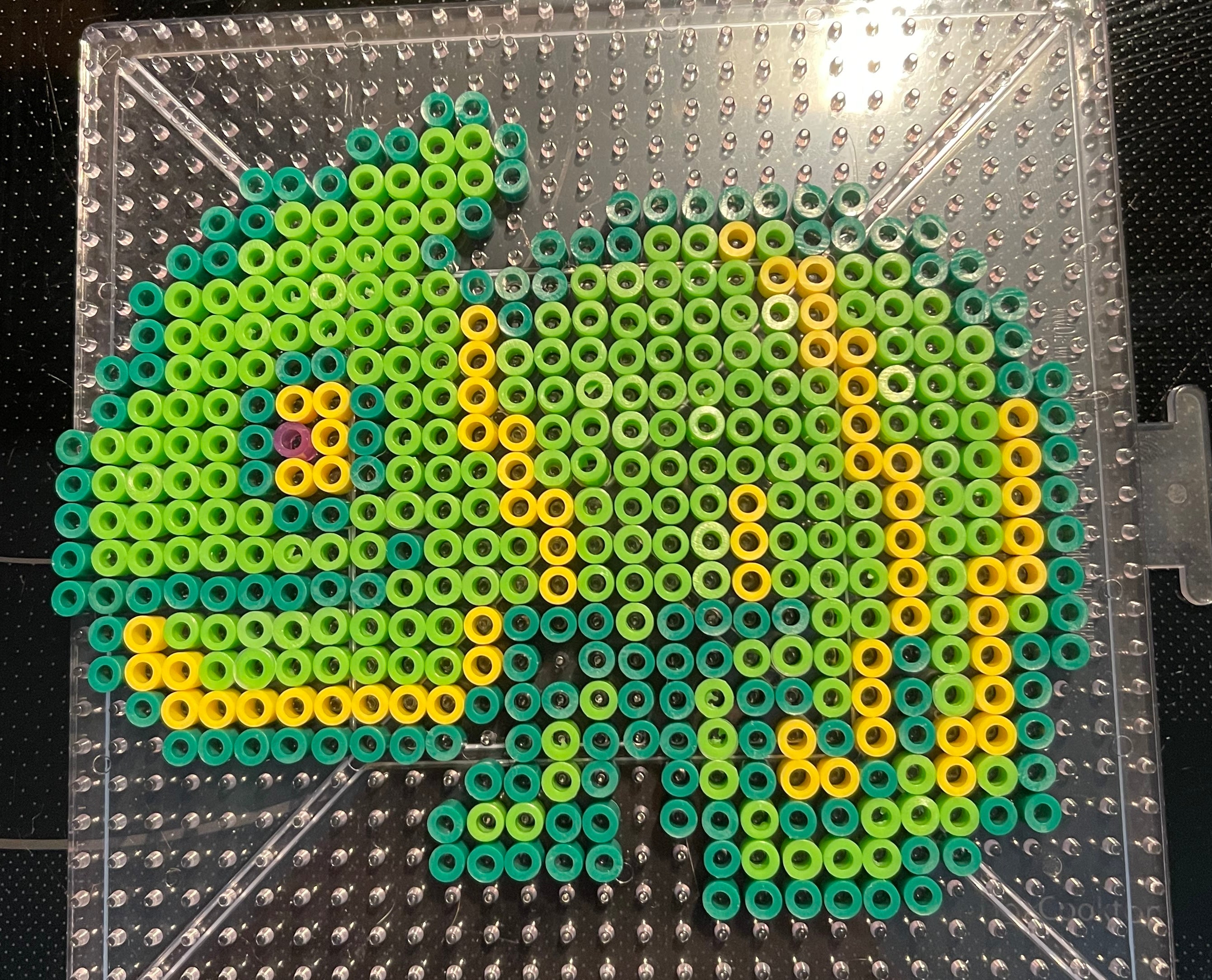 Green & Yellow Lizard