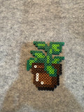 Succulent Leaf Plant