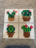 Plant Coaster