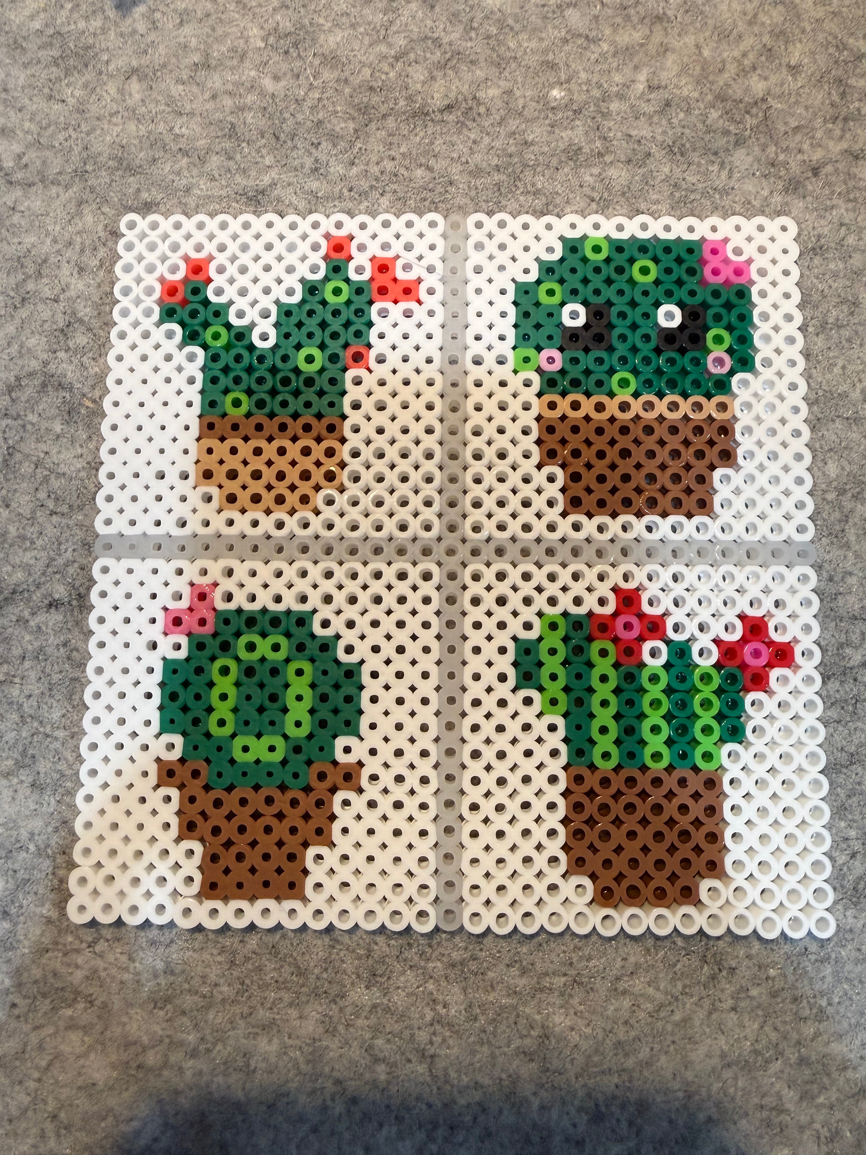 Plant Coaster