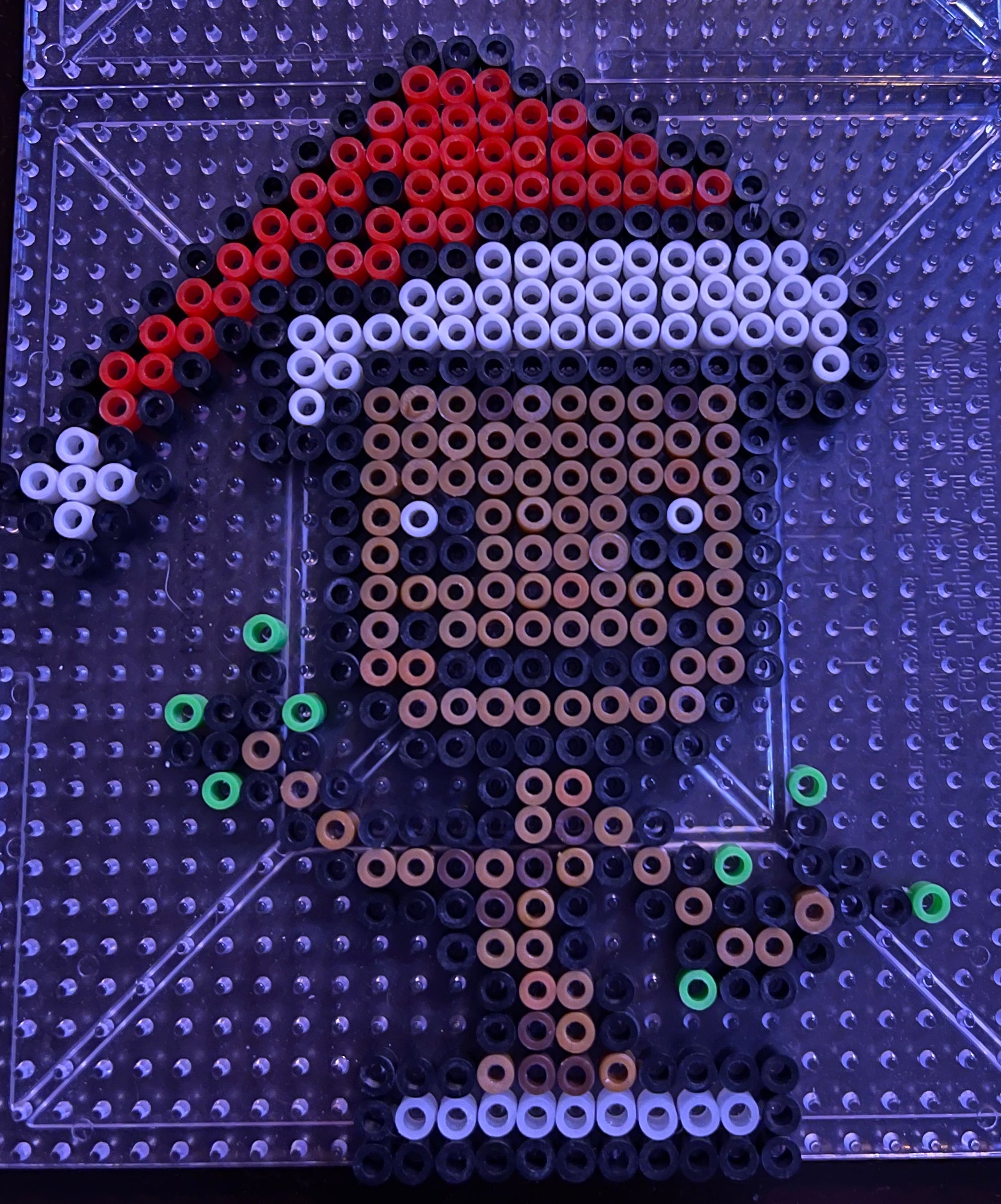 Talking Plant with Santa Hat